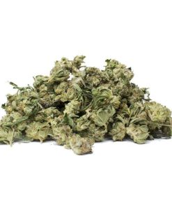 Alaskan Thunder Fuck (AA)