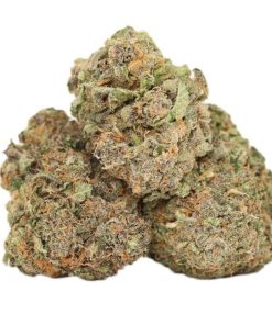 Atomic Blueberry AAAA+ Indica