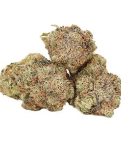 Buy Black Tuna Kush AAAA+ Indica Online