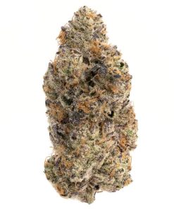 Blissful Wizard AAA+