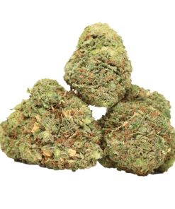 Buy Blue King AAAA+ Indica Online