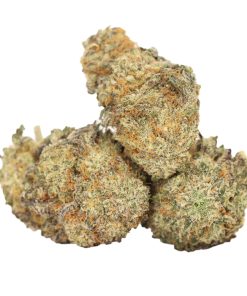 Buy butterscotch weed strain Online