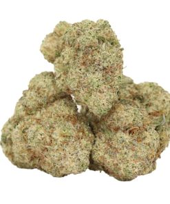 Chemo Kush AAAA+ Indica