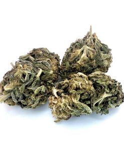 Dark Shadow Haze(AA)