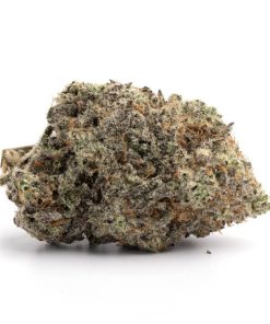 Donkey Butter (AAA+)