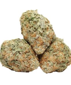 Buy Do Si Do Kush Online