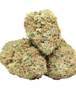 Buy El Chapo Kush Online