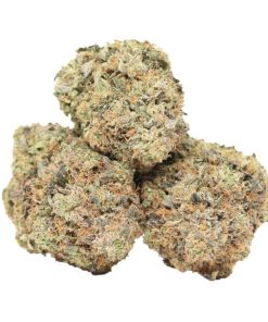 Buy High Society AAAA+ Indica Craft