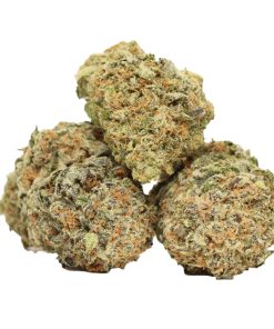 Buy Orange Kush Online