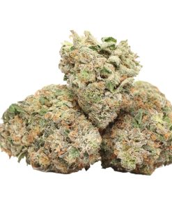 Pink Kush AAAA+ Indica Craft