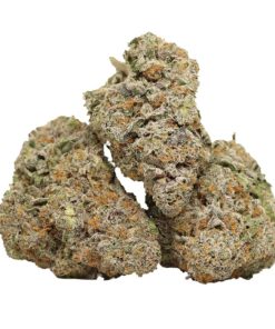 Purple Banana Breath AAAA+ Indica Craft