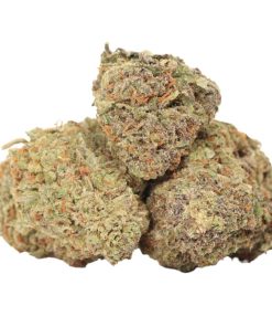 Purple Banner weed strain