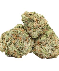 Purple Kush weed strain