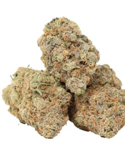 Buy Thin Mint Girl Scout Strain Online