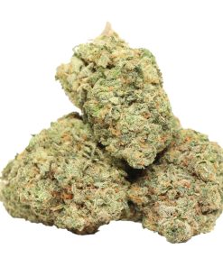 Buy Tropicana Jet Fuel Online