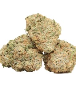 Buy Wedding Gelato strain Online