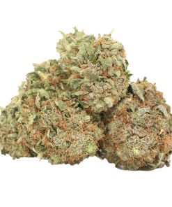 Buy White Fire OG Strain Online