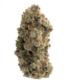 Cannabis Hybrid Strain