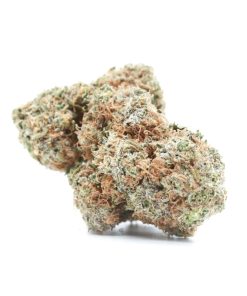 Cannabis Sativa Strain